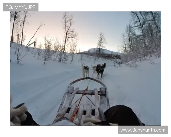 加拿大队在挪威举行的世界雪橇犬锦标赛上勇夺冠军 加拿大队在挪威举行的世界雪橇犬锦标赛上勇夺冠军